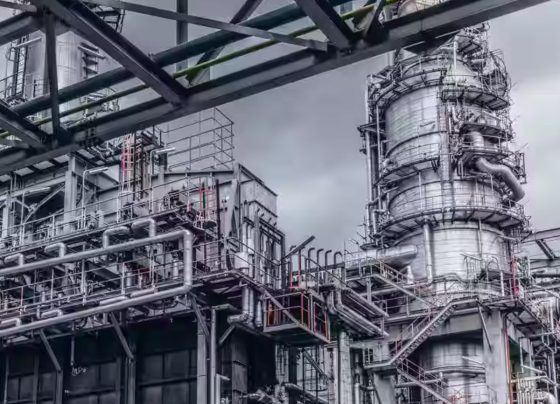 Ujjain chemical factory workers